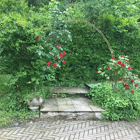 Апарт-отель Country House Of Tulips